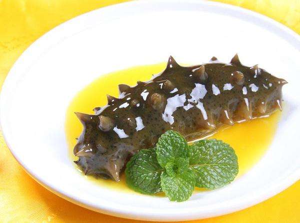 海參的功效有著意想不到的好處