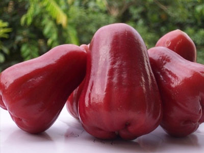 蓮霧怎么吃，蓮霧的吃法有哪些