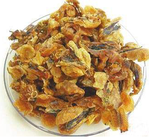 強身健體 雪蛤的功效與作用及副作用介紹