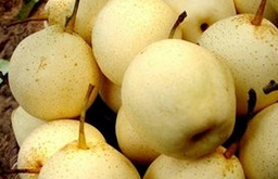 扁桃體發(fā)炎吃什么水果  五大水果