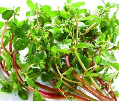 皮膚過敏怎么辦 這6種偏方幫助你康復