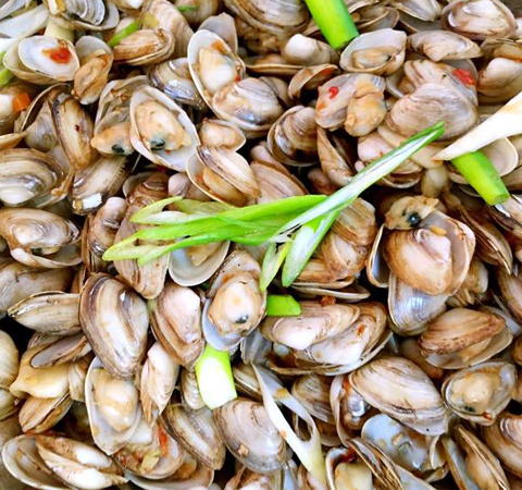 滋陰化痰 海瓜子的營養(yǎng)價(jià)值和功效介紹