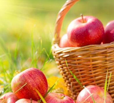 蘋果的作用 懷孕期間女性吃蘋果效果好