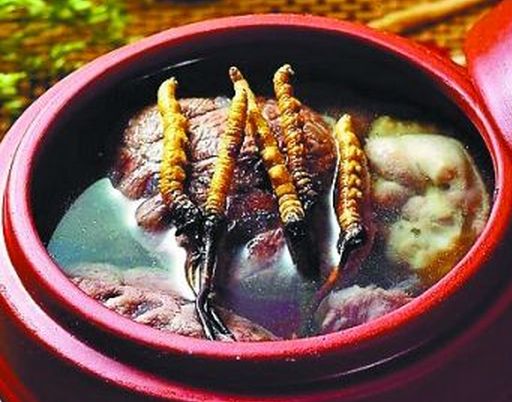 大補藥材蟲草的吃法及其功效