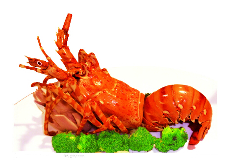 龍蝦怎么吃 蝦的營(yíng)養(yǎng)價(jià)值和食用方法