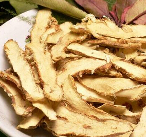 生津潤燥 知母的作用與功效及常用配伍介紹