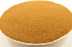 清利濕熱 海金沙的功效與作用和吃法介紹