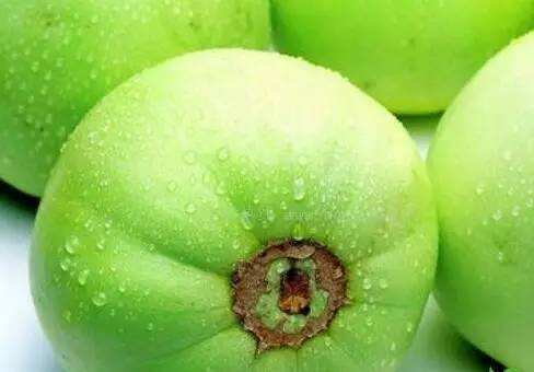 甜瓜主要種類及甜瓜的營養(yǎng)價(jià)值介紹