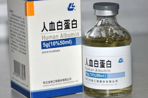 人血白蛋白的作用 主要有這3種