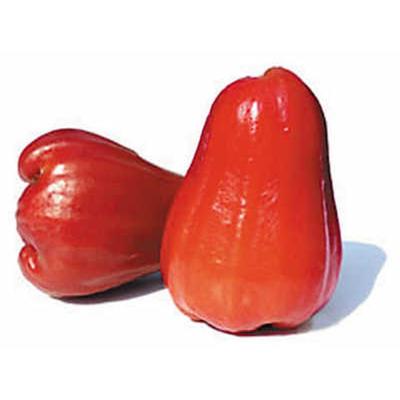 蓮霧怎么吃及其食用價(jià)值