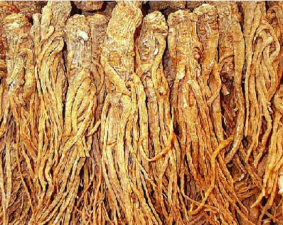 滋陰補腎的食物有哪些 這10個食物高效又便宜