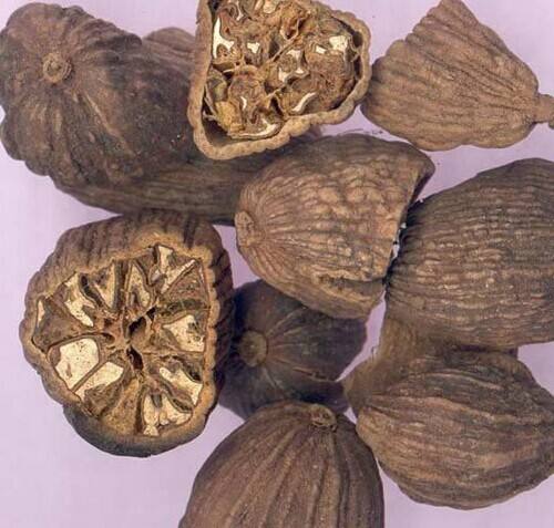 草果的功效與作用 可以治療眾多疾病