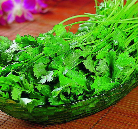 和胃調(diào)中 香菜的營養(yǎng)價(jià)值和功效介紹