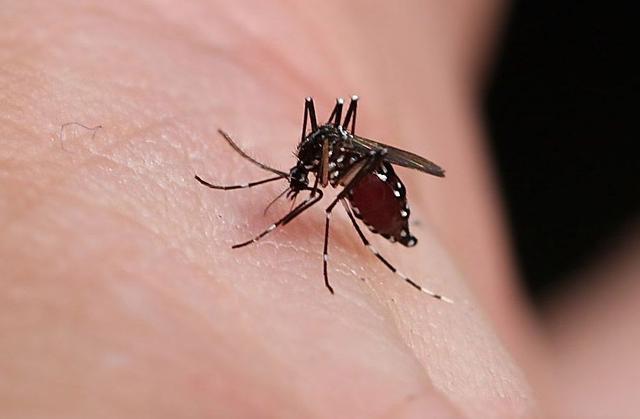 10個(gè)生活小竅門讓你的日子過的更輕松