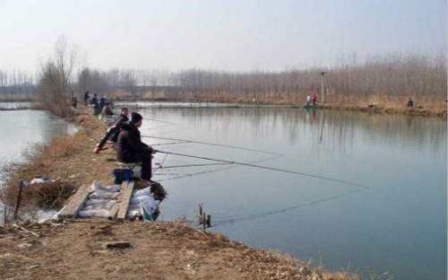 冬季快速讓魚(yú)兒上鉤的方法 冬季釣魚(yú)技巧