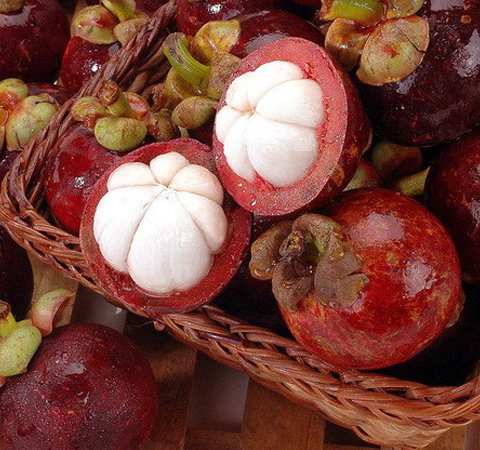 清熱降火 山竹的功效與作用和吃法介紹