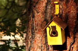 生活小竅門大全集 30個妙招簡單又食用