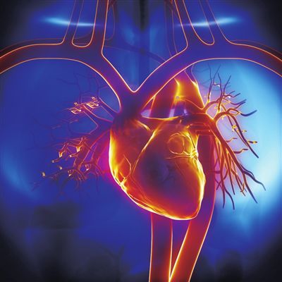 供血不足的癥狀   五種癥狀