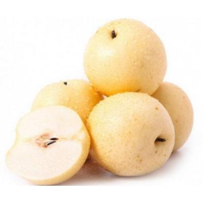 清肺潤肺食療方法 你懂得多少