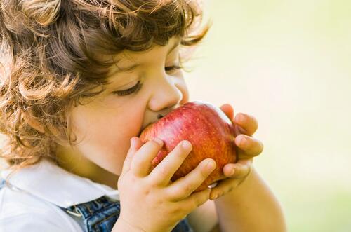 吃蘋果的好處   排毒養(yǎng)顏且減肥