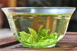 荷葉的功效與作用 荷葉茶可養(yǎng)生