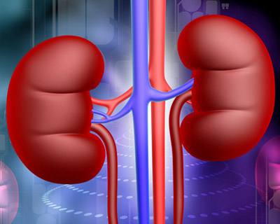 夫妻的性福生活 補(bǔ)腎壯陽