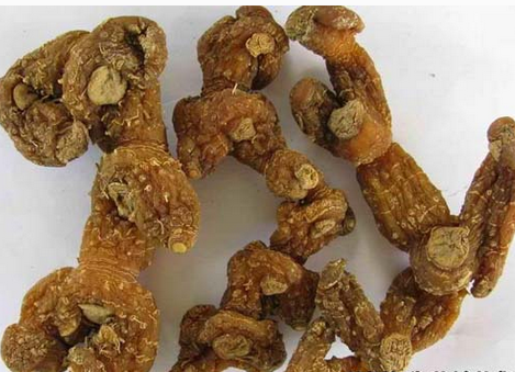 黃精的功效與作用  9種常見(jiàn)的作用