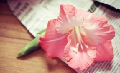 婦科炎癥宮頸肥大是怎么回事