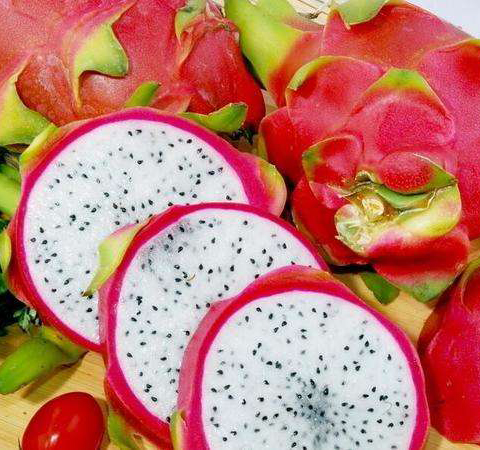 美容養(yǎng)顏 火龍果的好處和功效介紹