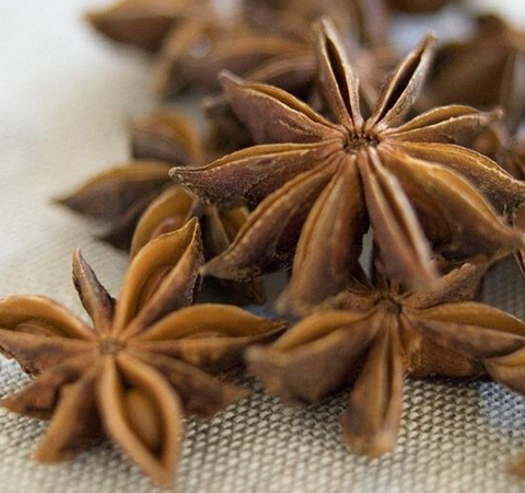 溫補腎陽 大茴香的功效與作用及副作用介紹