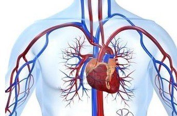 手腳發(fā)涼的注意啦，血液循環(huán)不好怎么辦