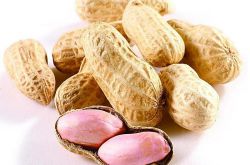 花生的功效與作用，全方位為你講解