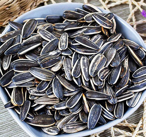 預(yù)防貧血 葵花籽的功效與作用及禁忌介紹