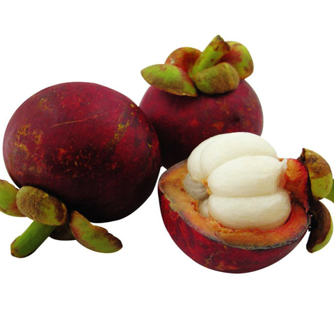 清熱降火 山竹的功效與作用和吃法介紹