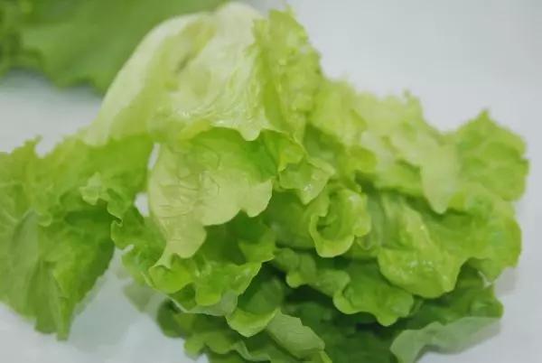 生菜的營養(yǎng)價值和藥用價值的詳解介紹