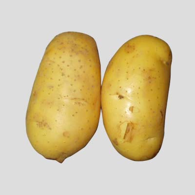 土豆汁的功效與作用   五大功效