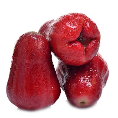 蓮霧怎么吃及其食用價(jià)值