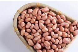 生花生的功效與作用  吃花生好處有很多