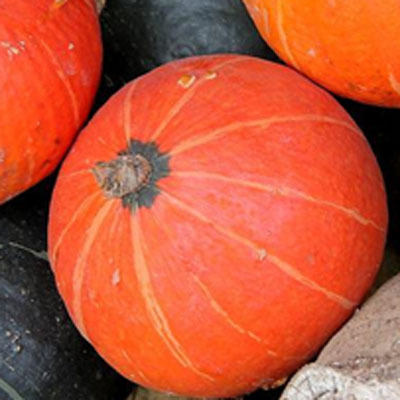 缺鐵性貧血吃什么水果  四種水果