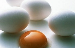 孕婦能吃鵝蛋嗎 吃鵝蛋的四大好處