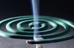 蚊香的危害是什么 蚊香片哪個(gè)牌子好