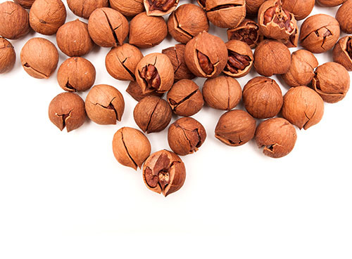 山核桃的營養(yǎng)價(jià)值 看完您就清楚了