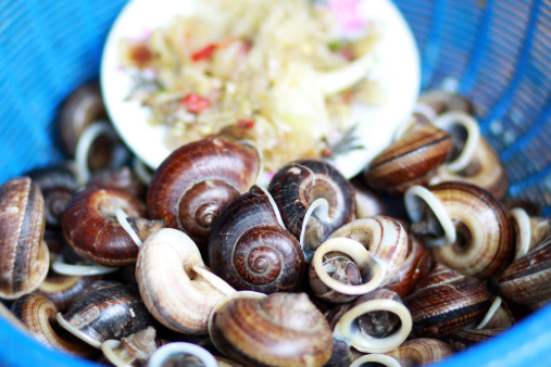 田螺的營養(yǎng)價(jià)值是什么 作用與功效有哪些