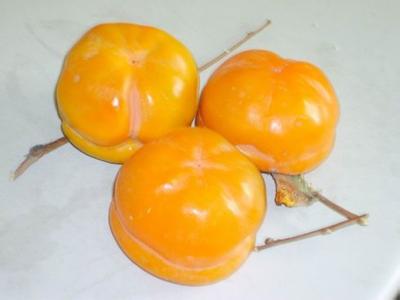 柿子的功效與作用及吃柿子的注意事項(xiàng)