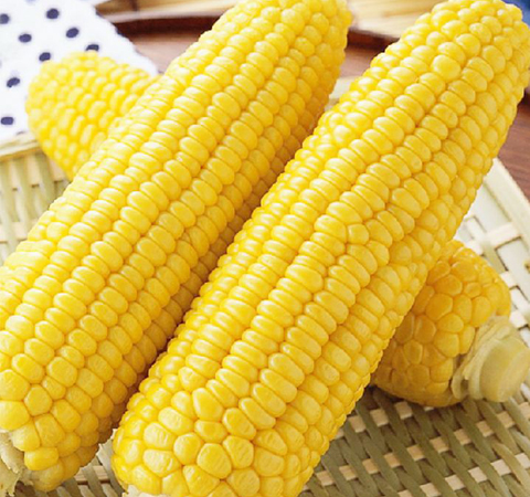 注意飲食 12種提高記憶力的食物介紹