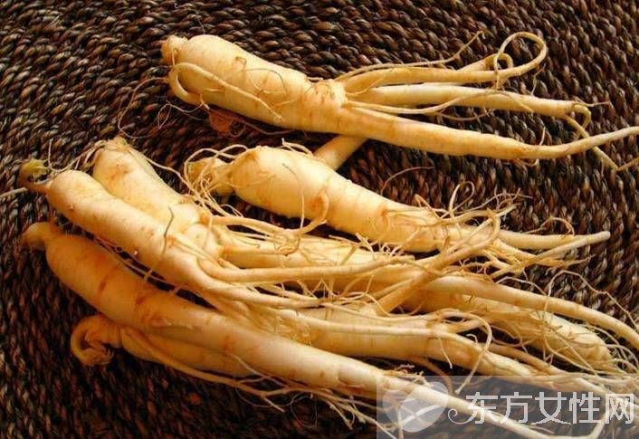鮮人參怎么保存 詳細(xì)新鮮人參的正確吃法