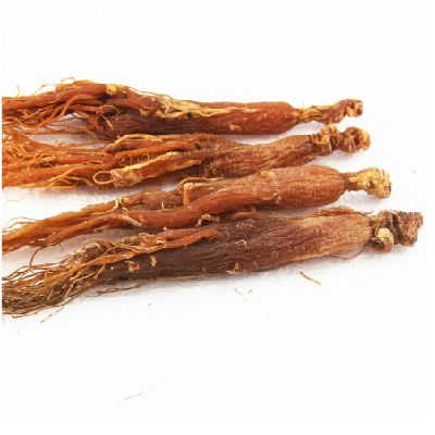 女性之友 紅參的功效與作用及食用方法