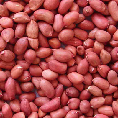 生花生的功效與作用  吃花生好處有很多