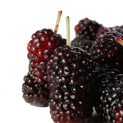 為你揭秘桑葚酒的功效與作用