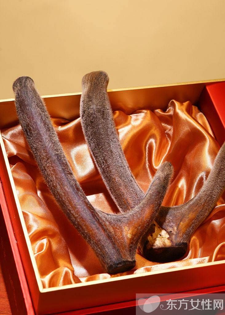 鹿茸怎么吃效果最好 解析鹿茸的九大功效